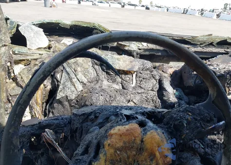 2022 Nissan Sentra S Xtronic Cvt z USA, uszkodzony, nr VIN 3N1AB8BV5NY259041